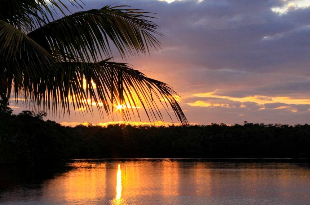 River Wilderness Waterfront Cabins Everglades City Luaran gambar